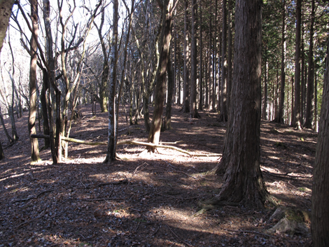 20190121hike (131)